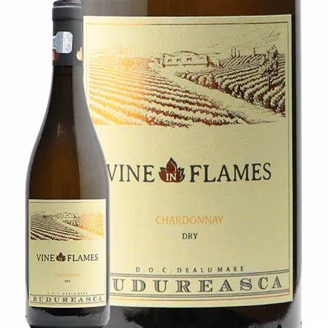 Budureasca - Vine In Flames